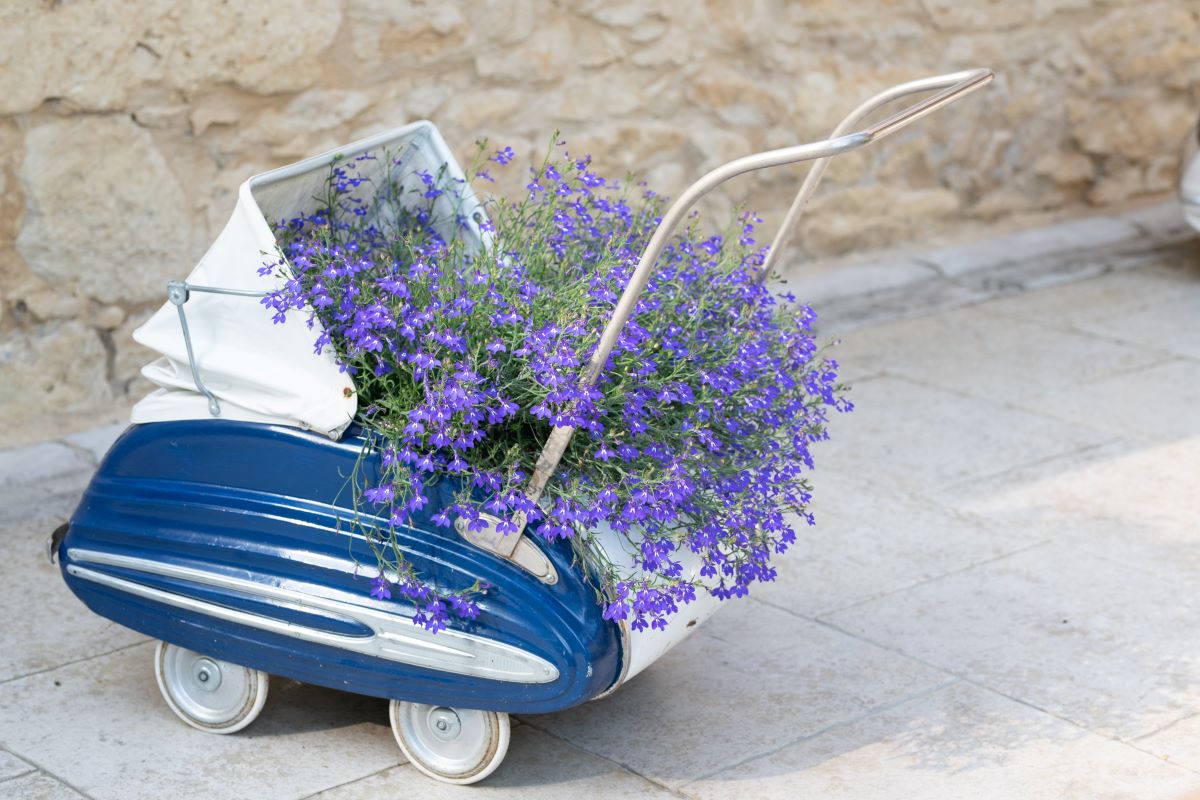 Les belles photos de notre moulin en Dordogne